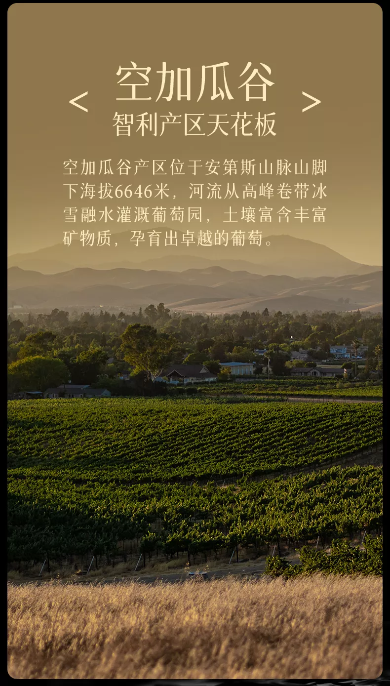 aoyo傲鱼跃黑金R6珍藏级西拉干红葡萄酒750ML礼盒装