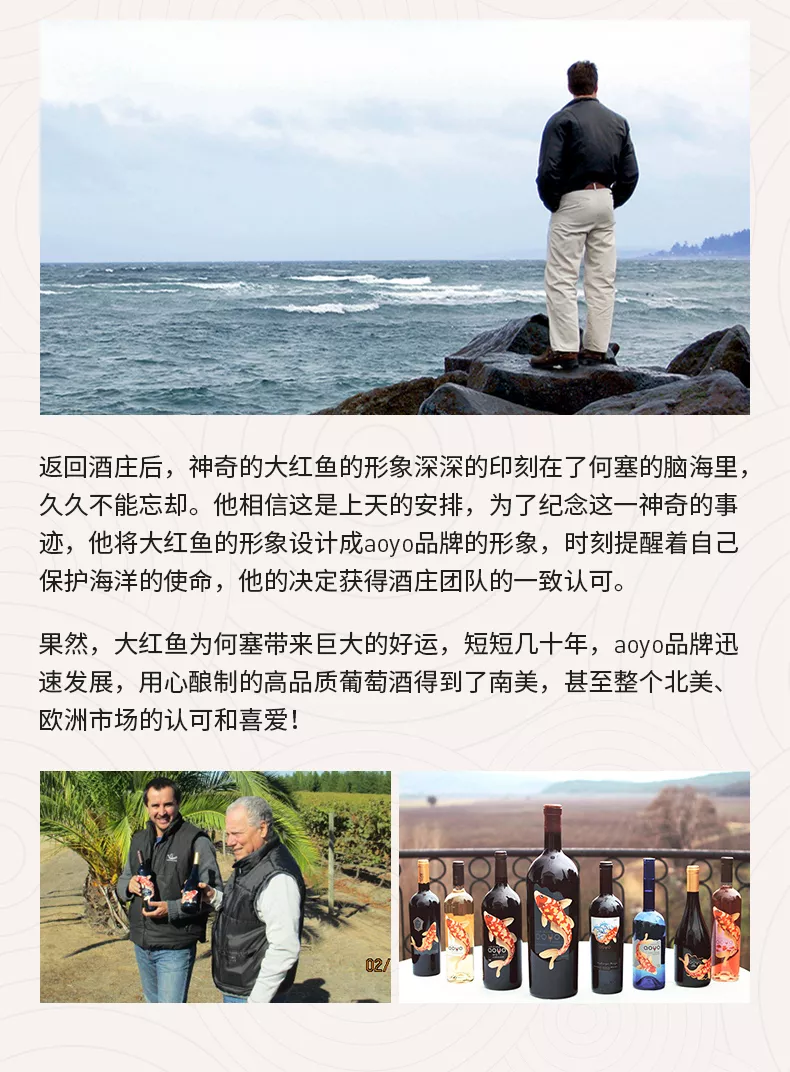 aoyo傲鱼跃黑金R6珍藏级西拉干红葡萄酒750ML礼盒装