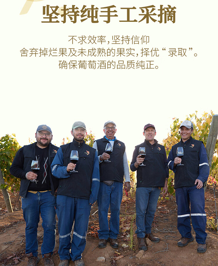 傲鱼尊蓝W4白葡萄酒 13度750ml智利原瓶原装进口霞多丽甜型男女士红酒