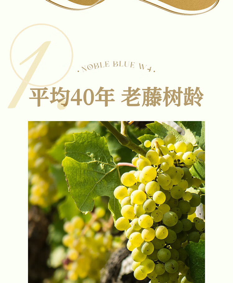 傲鱼尊蓝W4白葡萄酒 13度750ml智利原瓶原装进口霞多丽甜型男女士红酒