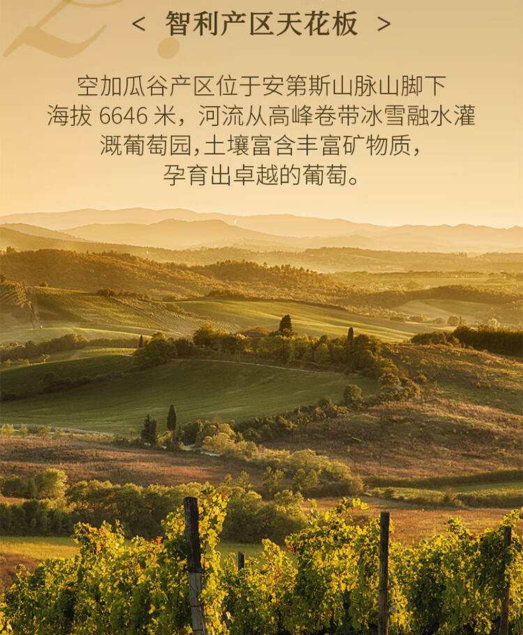 傲鱼尊蓝W4白葡萄酒 13度750ml智利原瓶原装进口霞多丽甜型男女士红酒