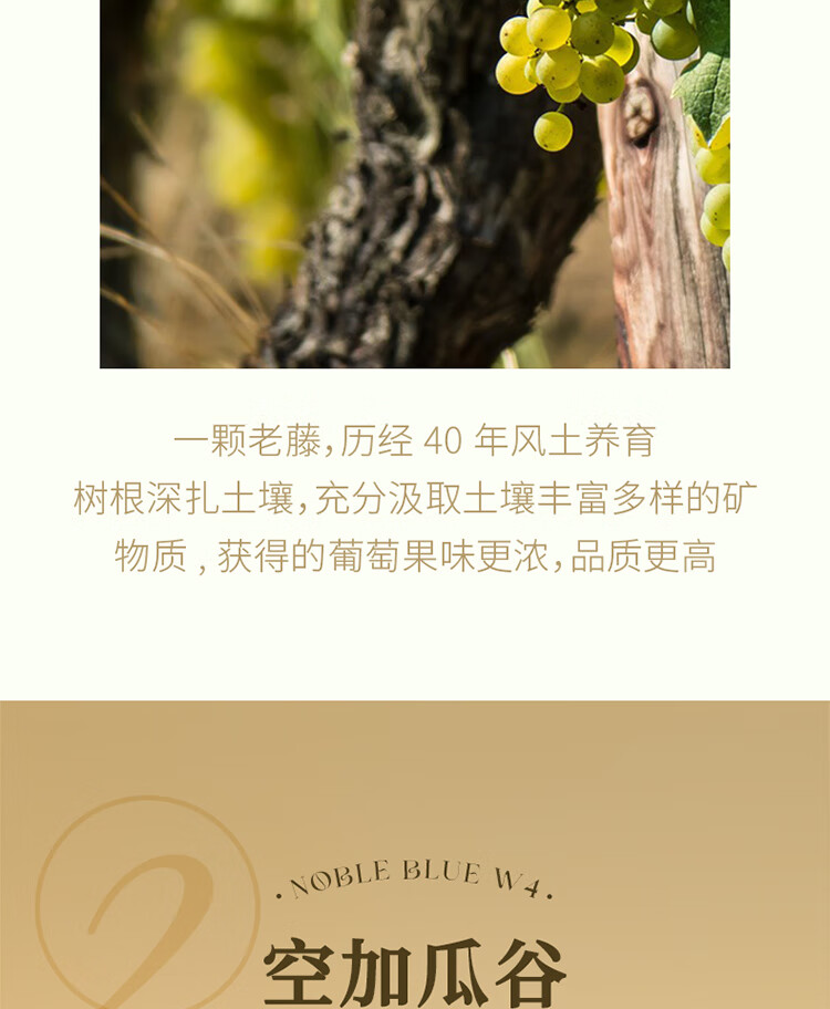 傲鱼尊蓝W4白葡萄酒 13度750ml智利原瓶原装进口霞多丽甜型男女士红酒