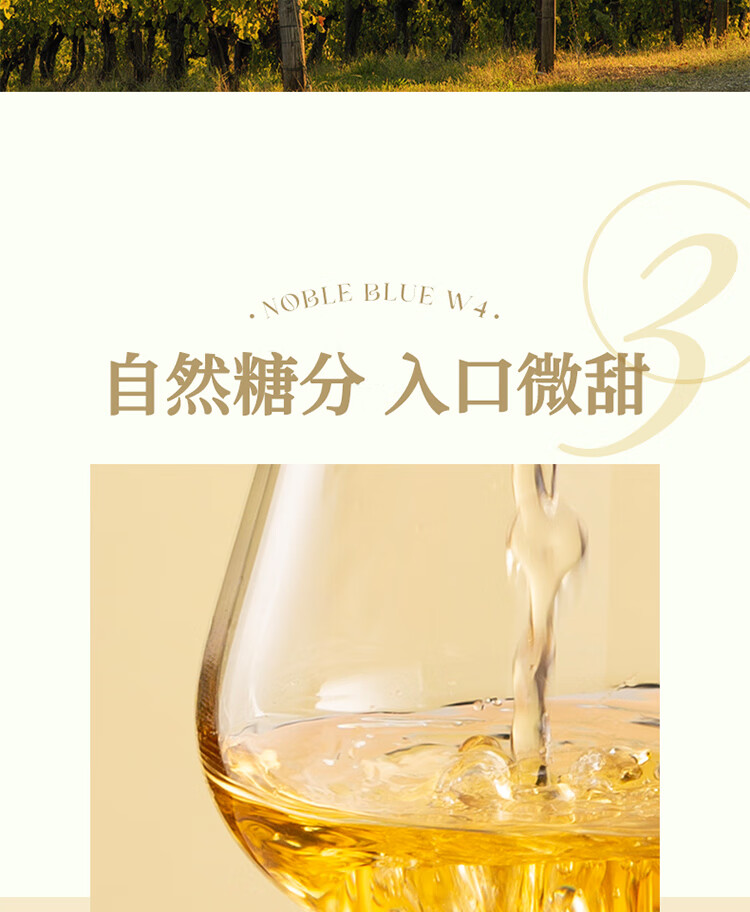 傲鱼尊蓝W4白葡萄酒 13度750ml智利原瓶原装进口霞多丽甜型男女士红酒