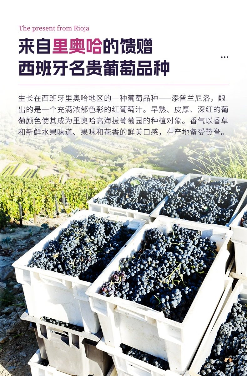 慕拉0度无酒精起泡葡萄汁无醇葡萄酒气泡酒甜型红酒脱醇零度开车可喝 750ml无醇