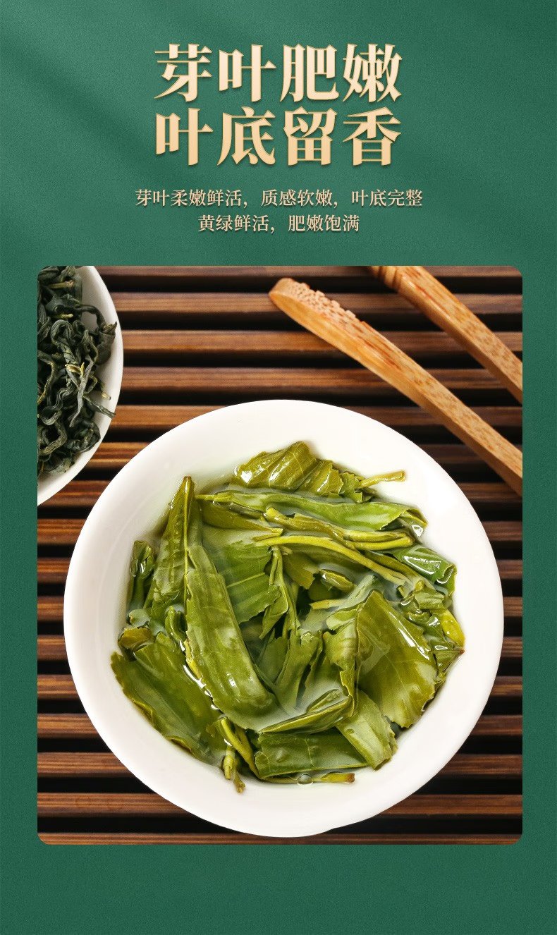 【5月】日照绿茶2025年新茶露天春茶250g/礼盒