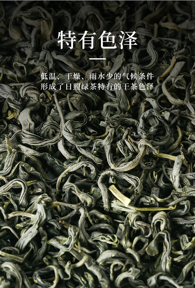 【5月】日照绿茶2025年新茶露天春茶250g/礼盒